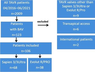 Results of new-generation balloon vs. self-expandable transcatheter heart valves for bicuspid aortic valve stenosis
